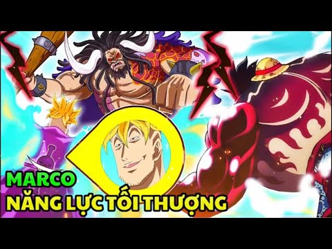 MARCO – Ngọn Lửa Tái Sinh Cuối Cùng – Năng Lực Tối Thượng Của Trái Ác Quỷ Tori Trùng Sinh Luffy !