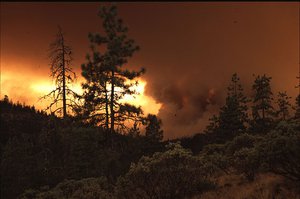 File - The Bureau of Land Management (BLM) and the U.S. Forest Service work together to manage wildfires. The One pictured was in the PAcific Northwest, 2013.