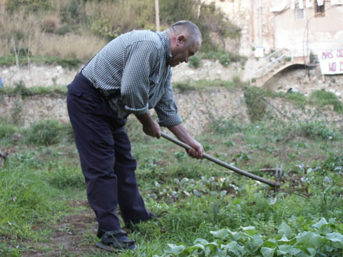 persona mayor en huerto