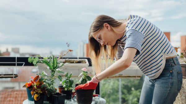 Try it: A simple edible garden setup