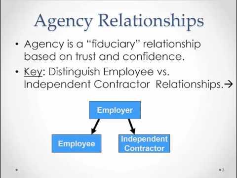 Introduction to Agency Law