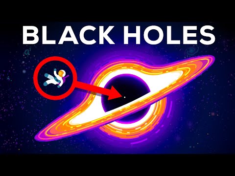 What If You Fall into a Black Hole?