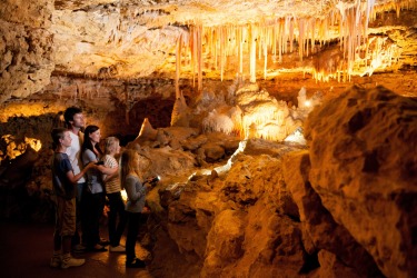 Naracoorte Caves, Naracoorte, SA.