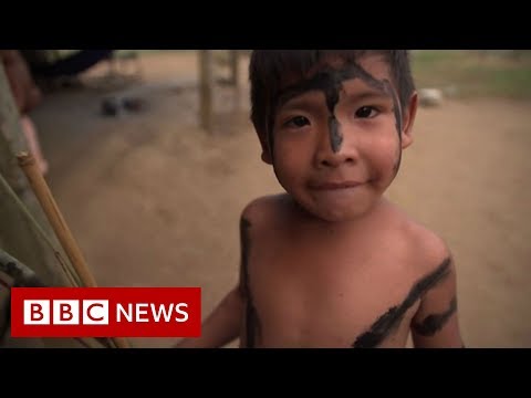 Amazon rainforest indigenous people in fight for survival- BBC News