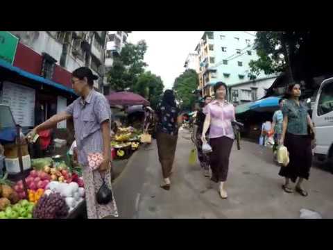 미얀마 양곤 (Myanma Yangon)