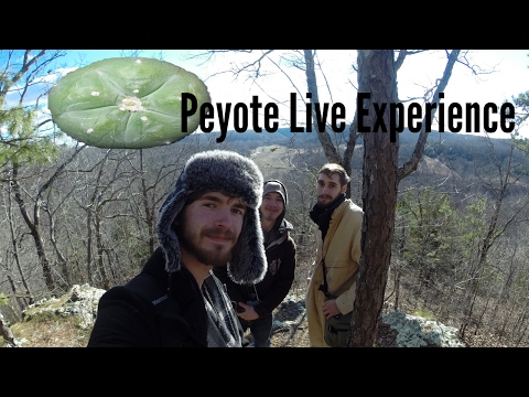 Peyote Live Experience and Overview