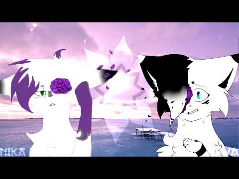 Meme animation Paradise¦Collab with MAYA|