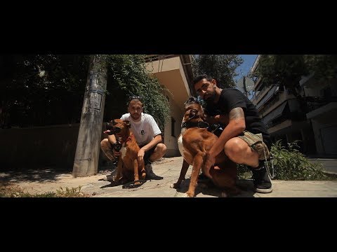 Νovel 729 - Amigos feat. Dj Micro [Official Video]