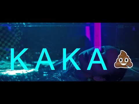 G-KAKA - KAKA ? (Sin Boy x Madclip x Ypo - Mama ? PARODY)