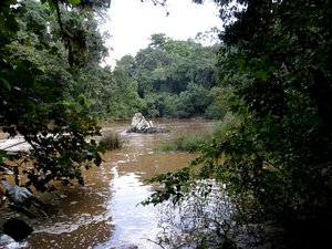 Yala river within Kakamega Rain Forest, western Kenya