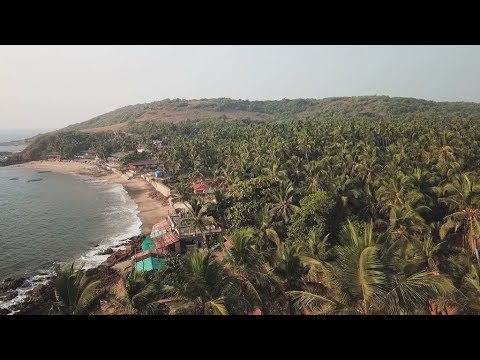 Indian state of Goa continues to attract dreamers from around the world • FRANCE 24 English