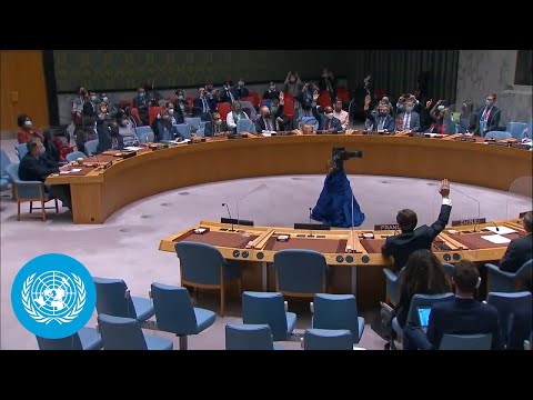 Ukraine - Security Council | Resolution Veto | United Nations | UNTV Live (25 Feb) - Official