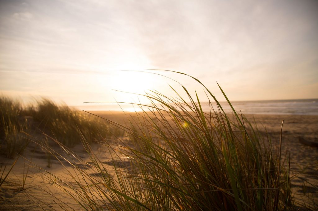 De meest voorkomende windrichting in Nederland