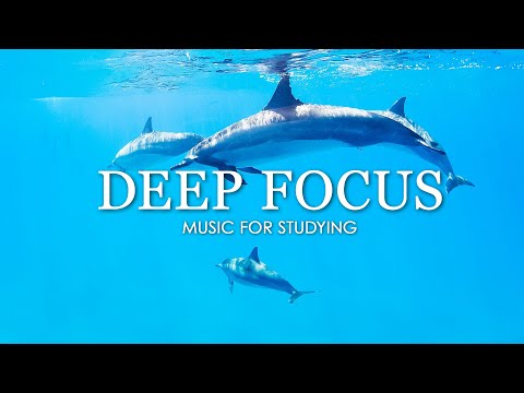 Deep Focus Music To Improve Concentration - 12 Hours of Ambient Study Music to Concentrate #219