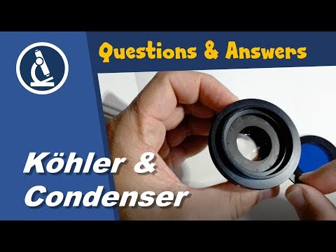 🔬 Effect of Condenser and Koehler diaphragms