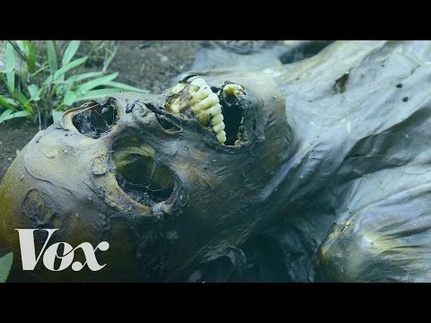 The fascinating process of human decomposition