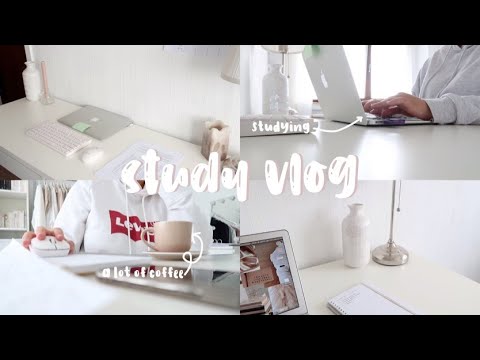 study vlog compilation || trois journées d'étude ☺︎