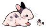 spicymochi:
“bunny buddies
”