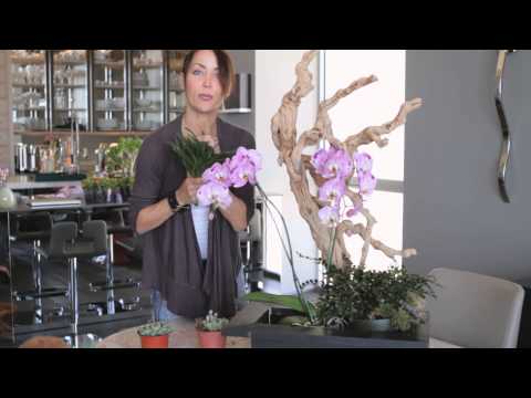 SASSY TIP FROM NICOLE SASSAMAN ON CREATING GREAT ARRANGEMENTS TO HELP YOU SELL YOUR HOME!