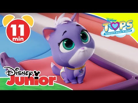 TOPS Transporte Oficial de Peques: Gatita otra vez, no | Disney Junior Oficial