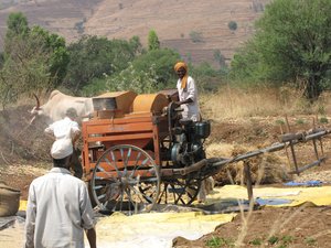 File - A farmer harvesting his wheat in Bhor Tehsil, Pune district, India.