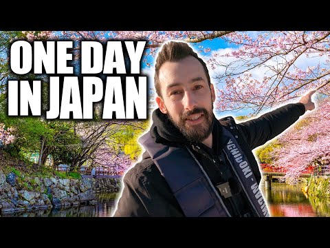 What Does a Day in Japan Look Like Right Now?