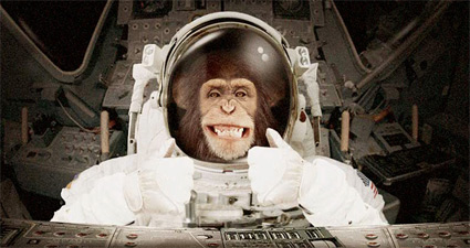 space monkey