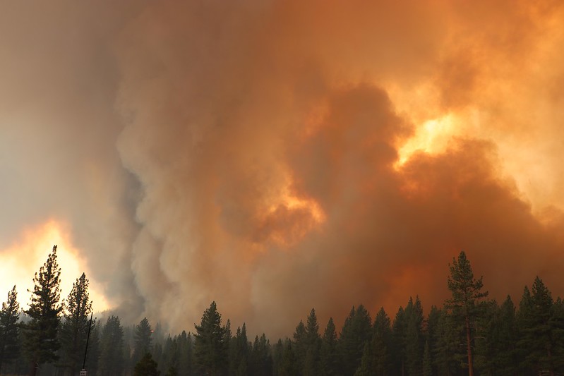 A column of smoke from the Tamarack Fire in Nevada.