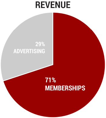 Pie chart depicting revenue