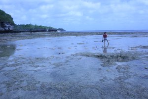 File - A tourist walks through a rockpool on Niue, an island in the Pacific threatened both by climate change and illegal fishing in its territorial waters.