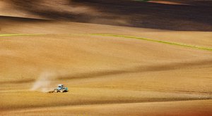 File - T-150K tractor on the field. Kasova Hora, Ivano-Frankivsk Oblast, Ukraine. Ukraine is the world's largest producer of sunflower oil and a major global producer of grain and sugar.