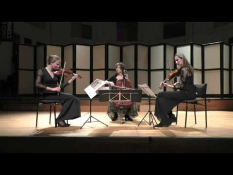 Serafino String Trio- Jean Sibelius string trio in g minor