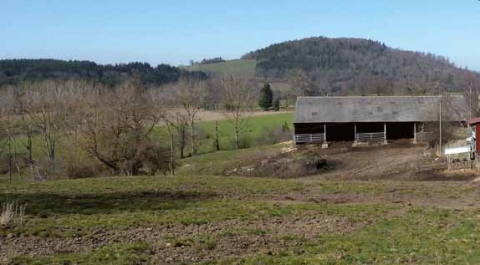 Un bâtiment ouvert sur les pâtures, des bois qui servent d’abris