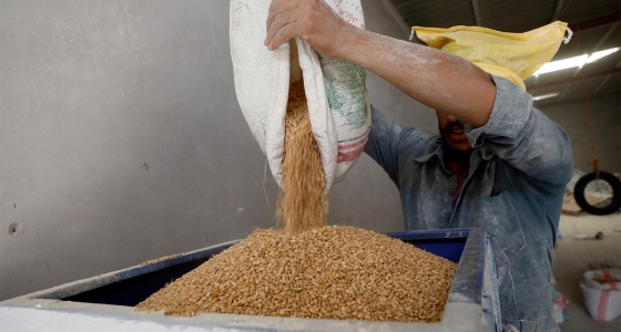 A Yemeni man pours wheat grains into a flour mill in Sana'a, Yemen (Image: AAP/EPA/YAHYA ARHAB)