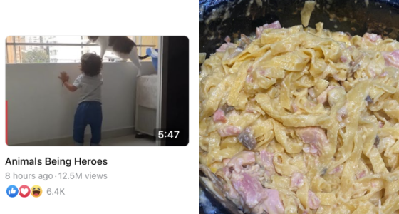 Australia's biggest digital publisher built their audience off social viral videos and welcome to online slowcooking communities (Image: Facebook/LADBible Australia, Facebook: Slow Cooker Recipes Australia)