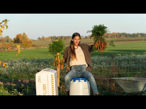 How WE keep CARROTS over Winter (+ Carrot cake)