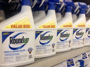 Weed & grass killer Roundup, Monsanto in a store