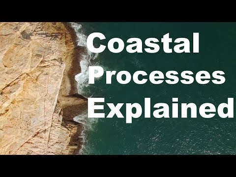 How the Coast Works