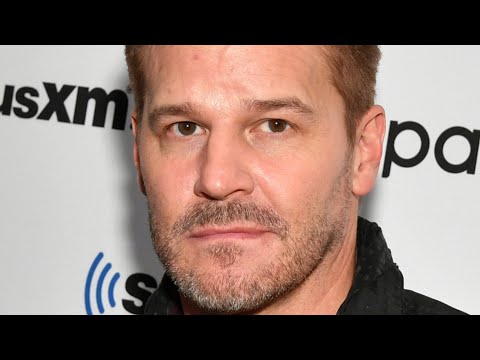 Buffy Star David Boreanaz Speaks Out Amid Joss Whedon Allegations