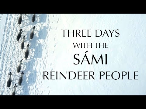 Three Days with the Sámi Reindeer People [Swedish Lapland]