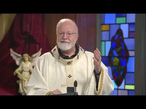 Our Identity is Beloved | Homily: Cardinal Sean O'Malley