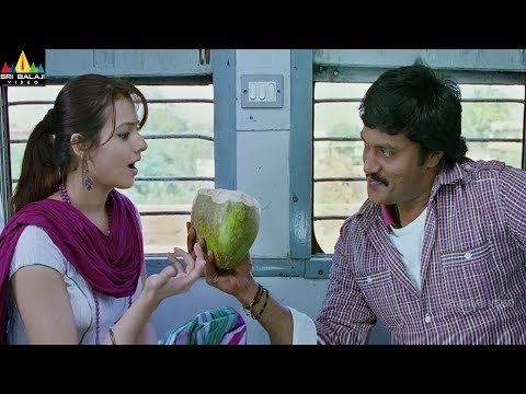 Maryada Ramanna Movie Scenes | Sunil Comedy with Saloni | Latest Telugu Scenes | Sri Balaji Video