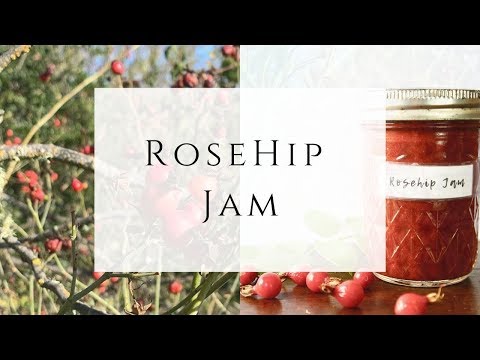 Homemade Rosehip Jam from wild Rose Hips