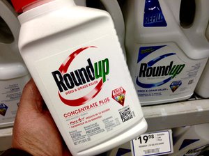 File - Photo of hand holding Monsanto glyphosate-based Roundup weed killer product as Refills products are seen on a shelf at a hardware store.