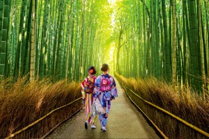 Wendy Wu's 18-day Japan Uncovered, with Kyoto, Osaka, Japan's first capital Nara and Hiroshima, is from $12090 a person ...