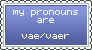 VAE Pronouns Stamp (blue)
