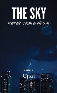 The Sky Never Came Down