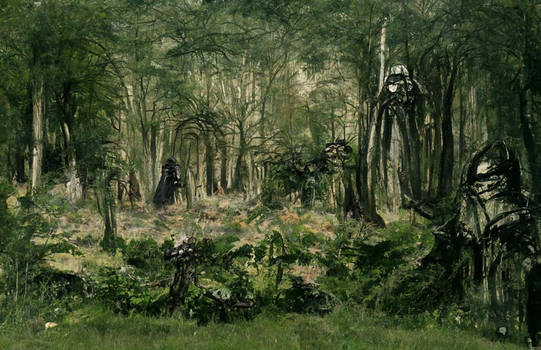Woodland Where The Dark Side Dwells
