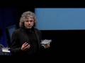 Steven Pinker: Chalking it up to the blank slate