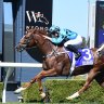 Race-by-race preview and tips for Wyong on Tuesday